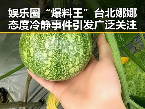 娱乐圈“爆料王”台北娜娜态度冷静 事件引发广泛关注