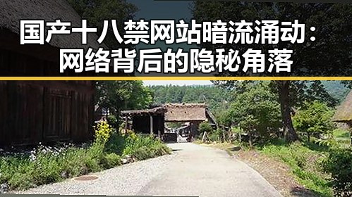 国产十八禁网站暗流涌动：网络背后的隐秘角落