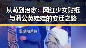 从萌到治愈：网红少女贴纸与蒲公英娃娃的变迁之路